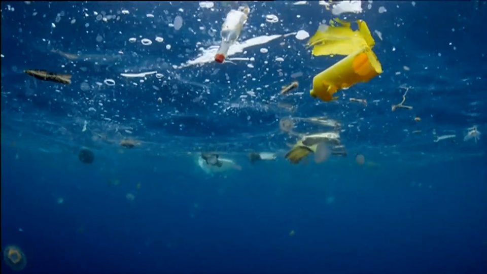 塑料：微型废塑料污染泛滥大西洋 总重“或达2100万吨”