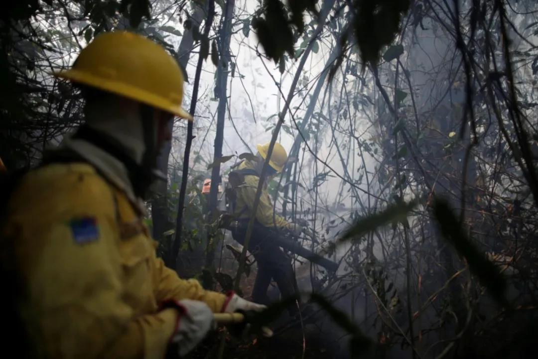 巴西：亚马逊大火再燃背后的变与不变