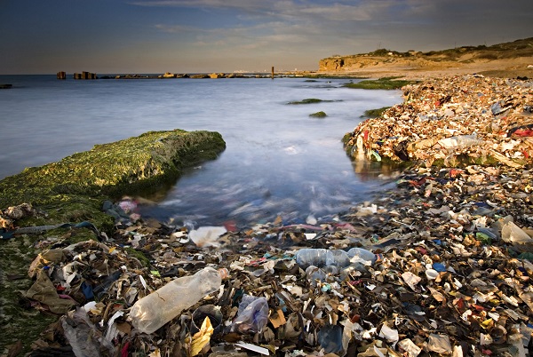 塑料：深圳泰利能源呼吁环保，警惕“塑料吃人”