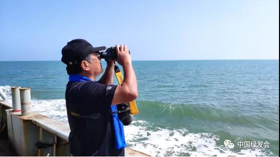 海豹：政民行动，渤海湾斑海豹保护区联合监测调研记要