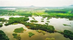 海南三亚河国家湿地公园一期区域生态