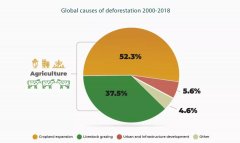 联合国气候变化大会：全球毁林面积近90%源