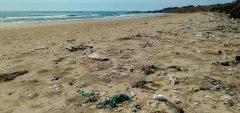 联合国新报告：生物可降解塑料的危害