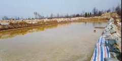 陕西渭南市潼关县双桥河流域生态环境问题突出