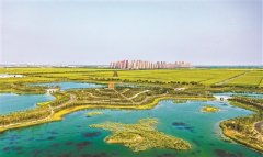 天津大美绿屏建设锚定“双碳”目标