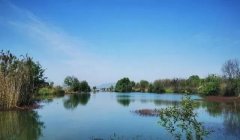 芜湖首个省级湿地公园来了！