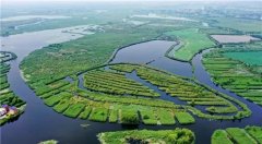 河北省召开白洋淀生态修复保护领导小组会议