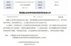 山东蓝想环境科技股份有限公司专利项目荣获山东省专利