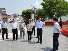 江苏省生态岛调研组来兴化市调研生态