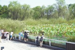 北京湿地日走过10年，全市湿地面积达6.21万